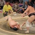 朝乃山が５年４カ月ぶり対戦の輝に快勝で勝ち越し　逆転の十両優勝へトップを２差で追う展開