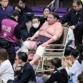 十両・紫雷が左脚を負傷　自力で立ち上がれず車いすで運ばれる
