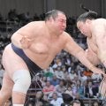 友風が４勝目　ゲン直しが効果を発揮　「残り４番、全部勝ちます」