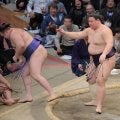安青錦が２敗に後退　前日金星の義ノ富士に敗れる