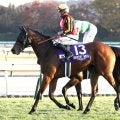 「世界最強馬を産んで」「ずっと忘れない」惜別＆ねぎらいの声続出　競走馬登録抹消＆繁殖入りブレイディヴェーグに　