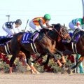前代未聞！“ダートの怪物”３歳馬が無傷６連勝で頂点…過去５戦で合計２６馬身つける圧勝　チャンピオンズＣ名勝負