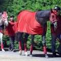 【注目馬動向】福島記念２着のエコロヴァルツは中山記念での復帰を視野　ハッピーマンはギャラクシーＳで連勝狙う