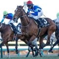 【ステイヤーズS予想】長距離戦は牡馬、セン馬の独壇場！ 苦戦傾向の牝馬に求められる好走条件とは
