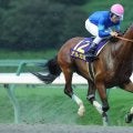 【チャンピオンズカップ】4連勝中ナルカミは517kg…出走馬の調教後の馬体重