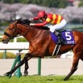 【香港国際競走】べラジオオペラなど日本馬3頭が香港入り…シャティンで順調な初日調整へ