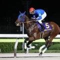 【チャンピオンズカップ】4連勝中ナルカミは6枠12番へ