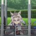 タマモクロス“ラストラン”へ『ウマ娘 シンデレラグレイ』第21話「有マ記念」予告公映像公開