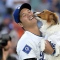 大谷翔平＆デコピンを筆頭に…山本、スネルらも愛犬紹介　MLB公式が“異例”の投稿