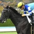 【鳴尾記念予想】鳴尾競馬場に由来の歴史ある一戦 今年から12月開催＆芝1800m戦に変更