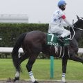 【競馬予想】「荒れる」チャンピオンズカップ　舞台合う実力馬２頭でビッグボーナスをゲットせよ