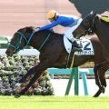 【中山３Ｒ・２歳未勝利】横山兄弟が鼻差の大接戦で和生騎手に軍配　スミッコディスコが５戦目で初白星