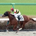 【中山６Ｒ・２歳新馬】横山和生騎手が２Ｒから騎乗機会４連勝！　トワイライトサイトで１番人気に応える