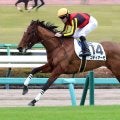 【中山５Ｒ・２歳新馬】「楽勝でした」ルメール騎手が高評価　ゴディアーモが２・０倍の１番人気に応える