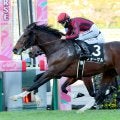 【阪神９Ｒ・さざんか賞】フォーゲルが１番人気に応えて連勝　斉藤崇調教師「好位で流れに乗れた」