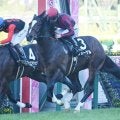 【さざんか賞結果】フォーゲルが人気に応えて2連勝