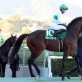 【鳴尾記念】５度目の挑戦で重賞初制覇　セン馬デビットバローズが勝利　岩田望来騎手は連覇