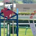 【ステイヤーズS】暮れの名物レースを制覇したのは牝馬のホーエリート