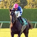 【鳴尾記念】３頭のＧ１馬の半弟・１番人気グランヴィノスは４着　川田将雅騎手「今日できる精いっぱいの走りです」