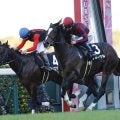 【さざんか賞】アルアイン産駒フォーゲルが2連勝