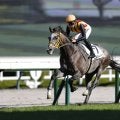 【新馬/阪神5R】エルハーベンがデビュー勝ち…半姉はリリーノーブル