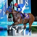 【今日の注目ポイント】チャンピオンズCでナルカミがダート界の頂点を狙う