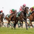 22年の共同通信杯を制したダノンベルーガが登録抹消 東京競馬場で乗馬に