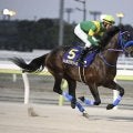 【チャンピオンズC予想】下半期のJRAダート王者決定戦 外枠の逃げ・先行馬にはタフなコース形態