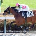 【中山３Ｒ・２歳新馬】厩舎に縁ある血統ユアフェリシティが完勝　原田和真騎手「これからが楽しみ」
