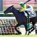 【中山５Ｒ・２歳新馬】サートゥルナーリア産駒サムハラ快勝　石田拓郎騎手「幼さを残した中で勝てて良かった」