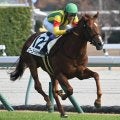 【中京5R新馬戦結果】スワーヴリチャード産駒ゴーゴーリチャードが初陣飾る