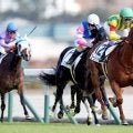 【中京５Ｒ・２歳新馬】５番人気ゴーゴーリチャードが２番手から抜け出す　武豊騎手「いいスピードを持っているね」