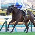 【中山１１Ｒ・ラピスラズリＳ】ロードフォアエースが３馬身差抜け出しオープン初勝利　マーカンド騎手「紳士的な馬」