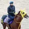 【チャンピオンズＣ】武豊騎手と初コンビの８歳馬メイショウハリオは４着　Ｇ１級５勝目を懸けたラストラン飾れず