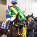 【チャンピオンズＣ】ウィルソンテソーロ鼻差惜敗で３年連続２着　川田将雅騎手「勝たせられなくて申し訳ないです」