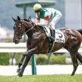 2歳女王決定戦・阪神JFなど3重賞/今週の競馬界の見どころ