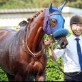 【阪神ＪＦ・イシゴーの特注馬】センスの高さは疑う余地がないアルバンヌ　２度目の栗東滞在で万全期す