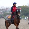 【阪神ＪＦ・角田の特注馬】しぶとい末脚は外回り向き！　ミツカネベネラが厩舎に初Ｇ１タイトルをもたらす