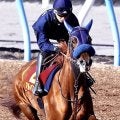 【阪神ＪＦ・山下の特注馬】２連勝中のアルバンヌに期待　栗東滞在で調整も万全