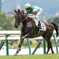 【阪神JF想定騎手】アランカールは北村友一騎手、マーゴットラヴミーは武豊騎手