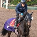 【阪神ＪＦ】母はオークス馬シンハライト　アランカールが同世代最速でＧ１制覇を狙う　斉藤崇調教師「能力はひけを取らない」
