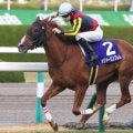 C.ルメール騎手のJRAジョッキーとしてのGI初制覇 15年阪神JFを回顧