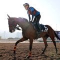 【香港マイル】牝馬２冠馬エンブロイダリーが海外初挑戦　森一調教師「３歳牝馬の中でチャンピオンホース」
