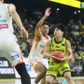 【バスケ】12・10、今季初の東北ダービー　秋田と仙台のプライドがぶつかる一戦