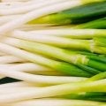 ネギの青い部分と白い部分、栄養の違いとは？