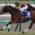 中山でも強かったジェンティルドンナ 14年有馬記念で見せたラストラン