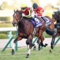 突然の別れから８か月…天国へ旅立った３冠牝馬の初Ｇ１制覇は次元の違う圧勝だった　阪神ＪＦ過去の名勝負