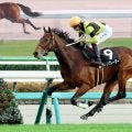 【注目馬動向】葉牡丹賞で２歳ＪＲＡレコード更新のサノノグレーターは年内休養へ