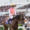 【注目馬動向】スプリンターズＳ２着のジューンブレアは引き続き、武豊騎手で阪神Ｃに参戦