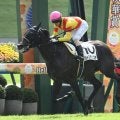 【ホープフルS想定】ジャスティンビスタ、アンドゥーリルなど13頭